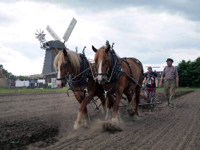 Mühlenfest 2025